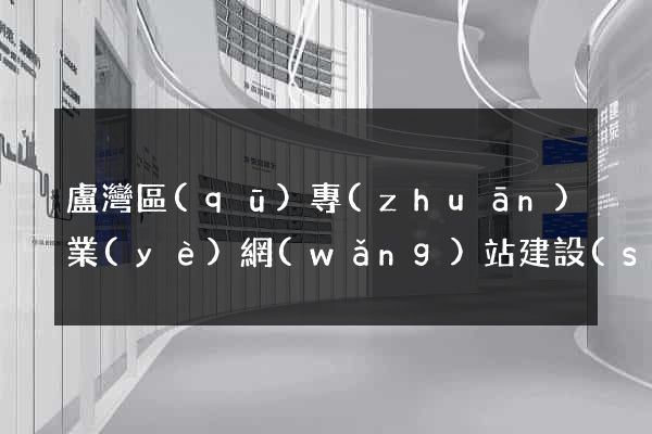 盧灣區(qū)專(zhuān)業(yè)網(wǎng)站建設(shè)