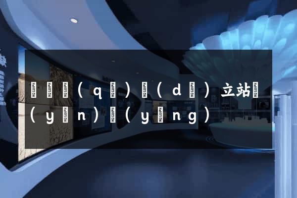 盧灣區(qū)獨(dú)立站運(yùn)營(yíng)