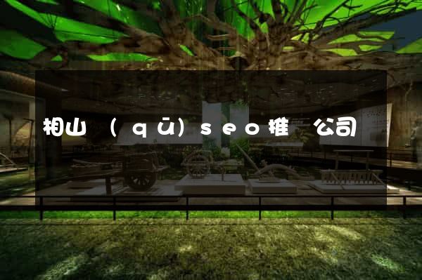 相山區(qū)seo推廣公司