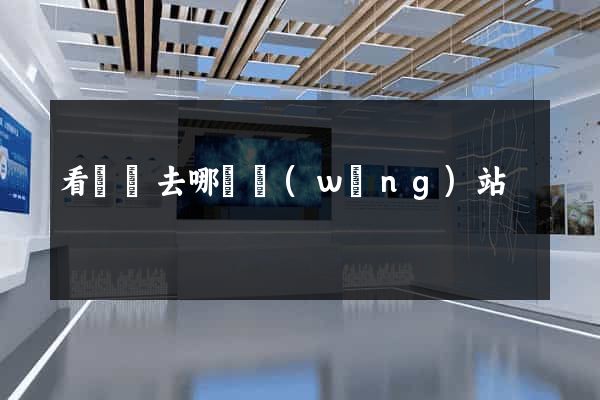 看電視去哪個網(wǎng)站