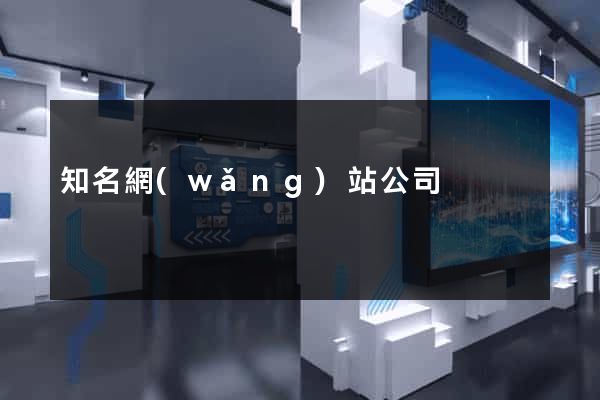 知名網(wǎng)站公司