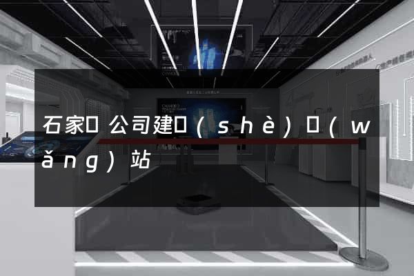 石家莊公司建設(shè)網(wǎng)站