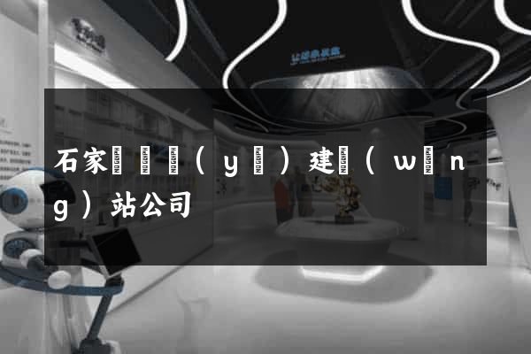 石家莊專業(yè)建網(wǎng)站公司