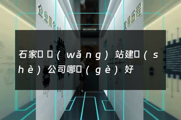 石家莊網(wǎng)站建設(shè)公司哪個(gè)好