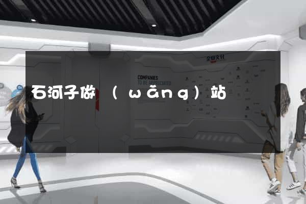 石河子做網(wǎng)站