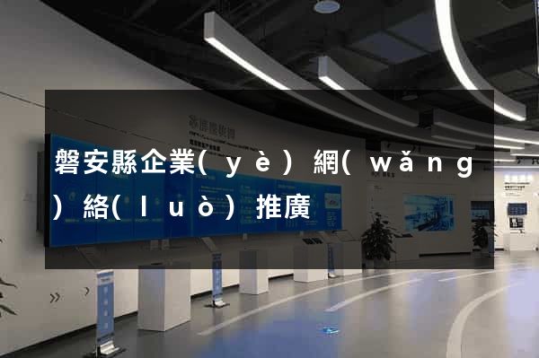 磐安縣企業(yè)網(wǎng)絡(luò)推廣