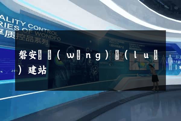 磐安縣網(wǎng)絡(luò)建站