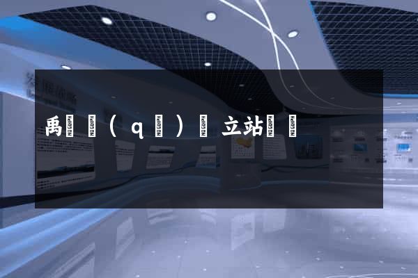 禹會區(qū)獨立站運營