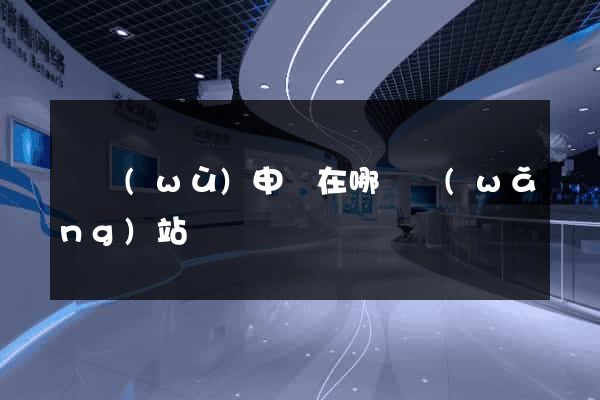 稅務(wù)申報在哪個網(wǎng)站