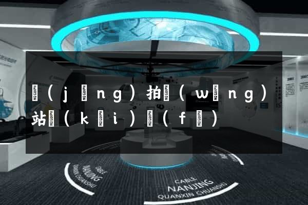 競(jìng)拍網(wǎng)站開(kāi)發(fā)