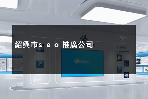 紹興市seo推廣公司