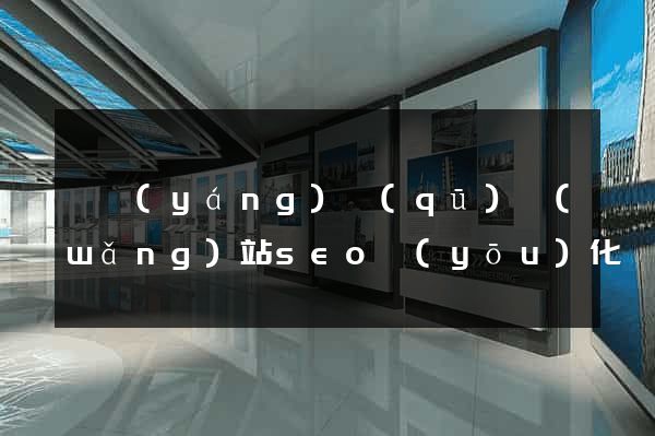 維揚(yáng)區(qū)網(wǎng)站seo優(yōu)化