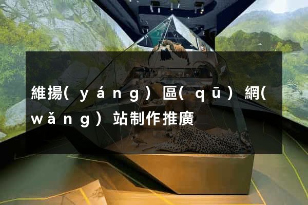 維揚(yáng)區(qū)網(wǎng)站制作推廣