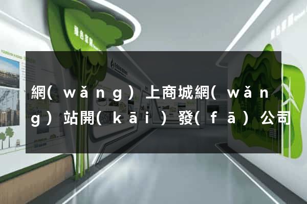 網(wǎng)上商城網(wǎng)站開(kāi)發(fā)公司