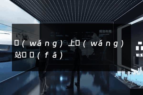 網(wǎng)上網(wǎng)站開發(fā)