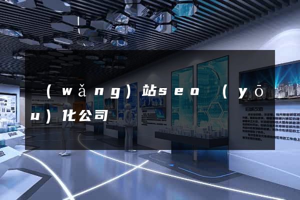 網(wǎng)站seo優(yōu)化公司