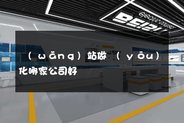 網(wǎng)站做優(yōu)化哪家公司好