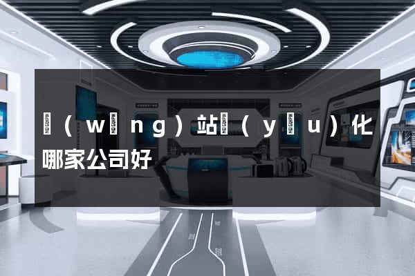 網(wǎng)站優(yōu)化哪家公司好