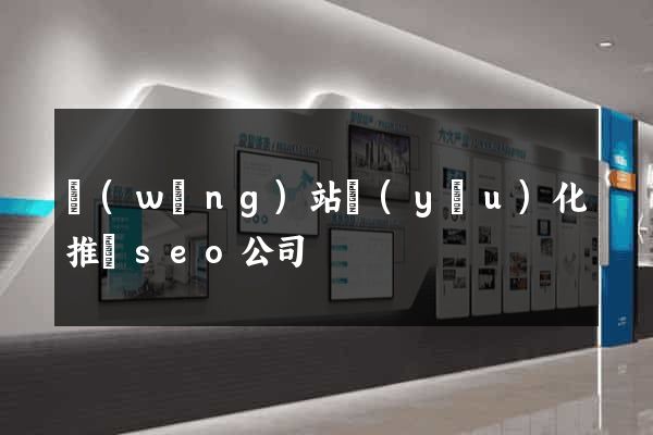 網(wǎng)站優(yōu)化推廣seo公司