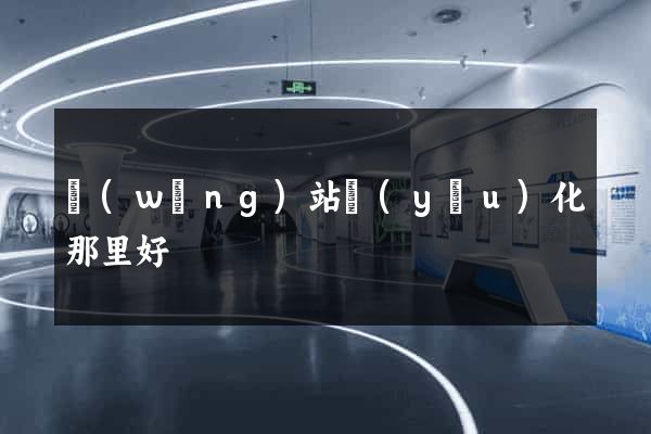 網(wǎng)站優(yōu)化那里好