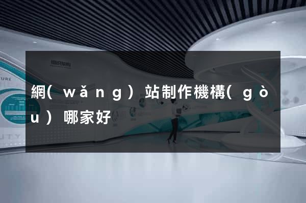 網(wǎng)站制作機構(gòu)哪家好