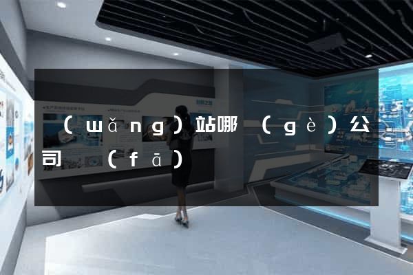 網(wǎng)站哪個(gè)公司開發(fā)