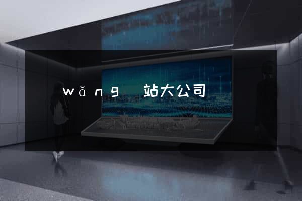 網(wǎng)站大公司