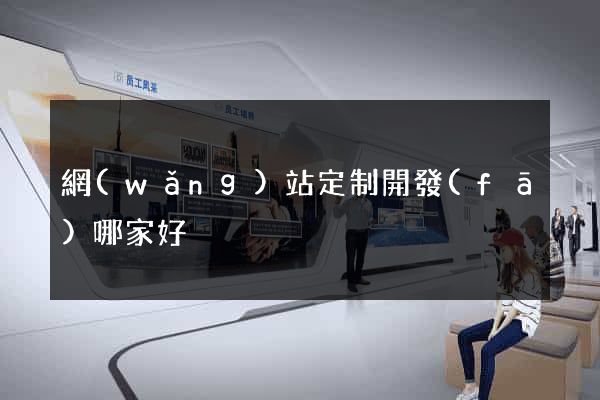 網(wǎng)站定制開發(fā)哪家好
