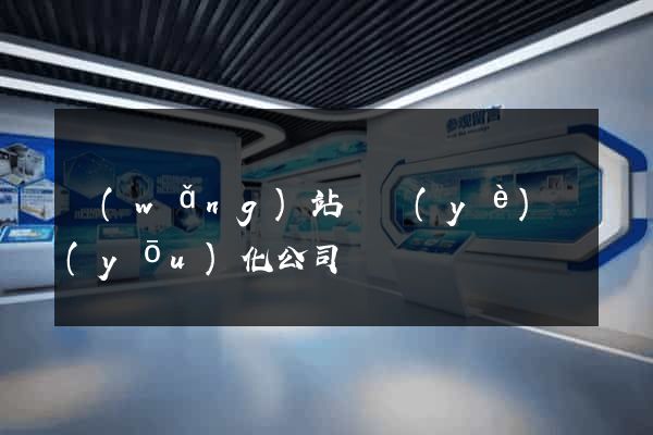 網(wǎng)站專業(yè)優(yōu)化公司