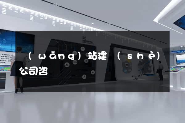 網(wǎng)站建設(shè)公司咨詢
