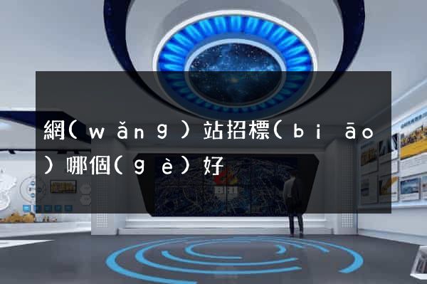網(wǎng)站招標(biāo)哪個(gè)好