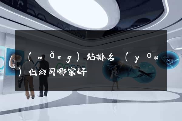 網(wǎng)站排名優(yōu)化公司哪家好