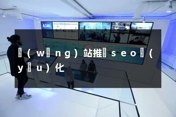 網(wǎng)站推廣seo優(yōu)化
