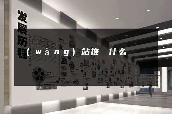 網(wǎng)站推廣什么