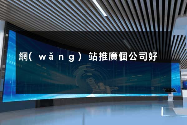 網(wǎng)站推廣個公司好