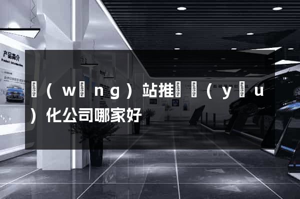 網(wǎng)站推廣優(yōu)化公司哪家好