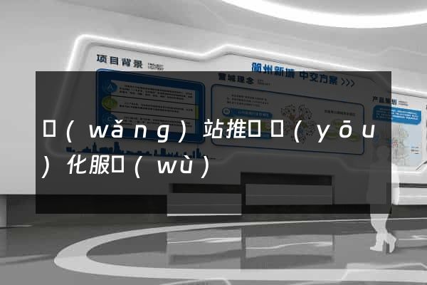 網(wǎng)站推廣優(yōu)化服務(wù)