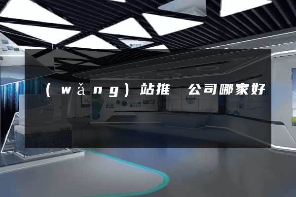 網(wǎng)站推廣公司哪家好