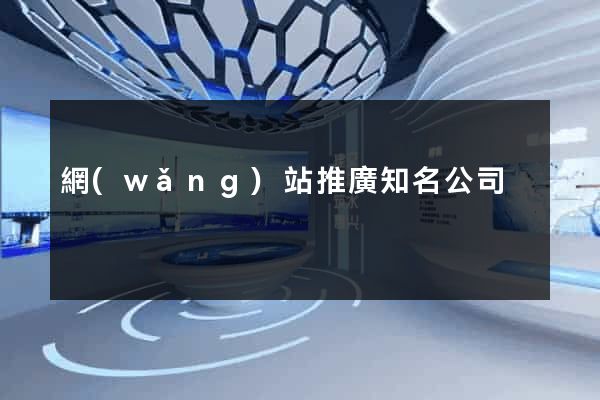 網(wǎng)站推廣知名公司