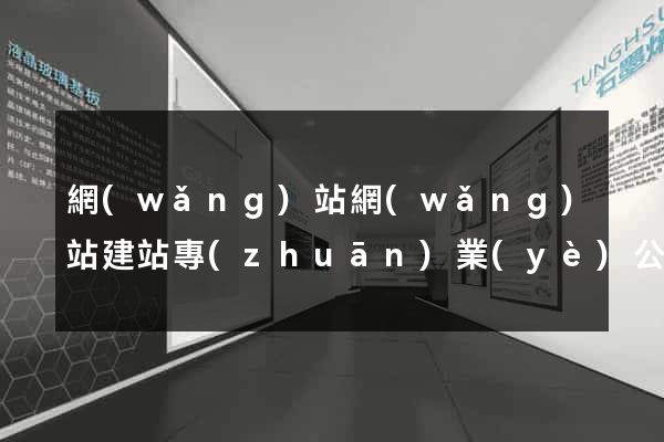 網(wǎng)站網(wǎng)站建站專(zhuān)業(yè)公司