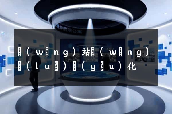 網(wǎng)站網(wǎng)絡(luò)優(yōu)化