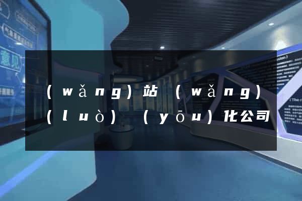網(wǎng)站網(wǎng)絡(luò)優(yōu)化公司