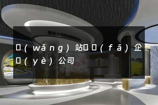 網(wǎng)站開發(fā)企業(yè)公司
