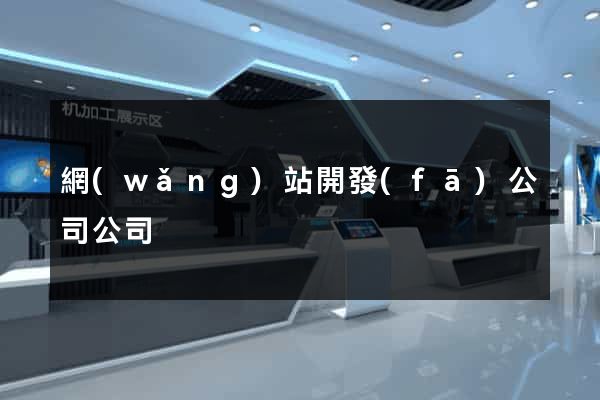 網(wǎng)站開發(fā)公司公司