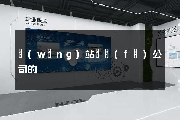 網(wǎng)站開發(fā)公司的