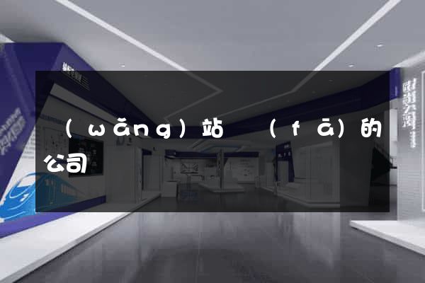 網(wǎng)站開發(fā)的公司