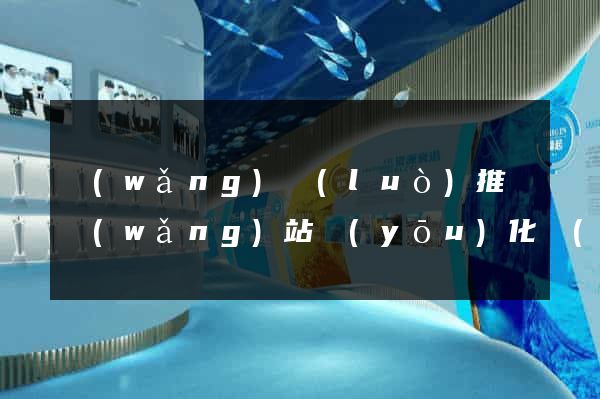 網(wǎng)絡(luò)推廣網(wǎng)站優(yōu)化網(wǎng)站推廣