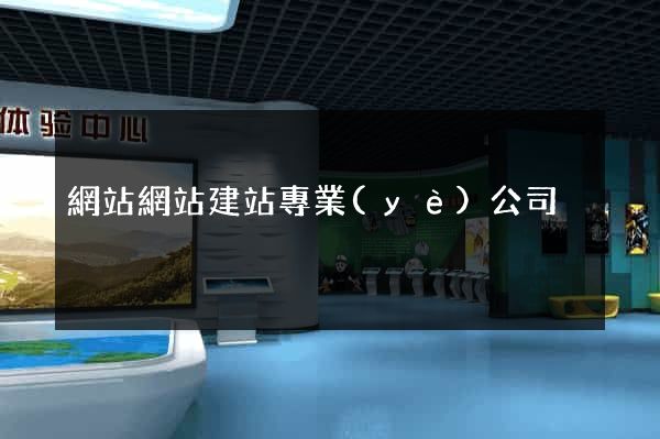 網站網站建站專業(yè)公司