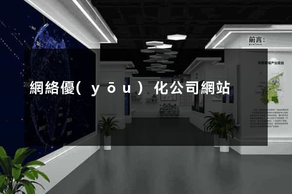 網絡優(yōu)化公司網站