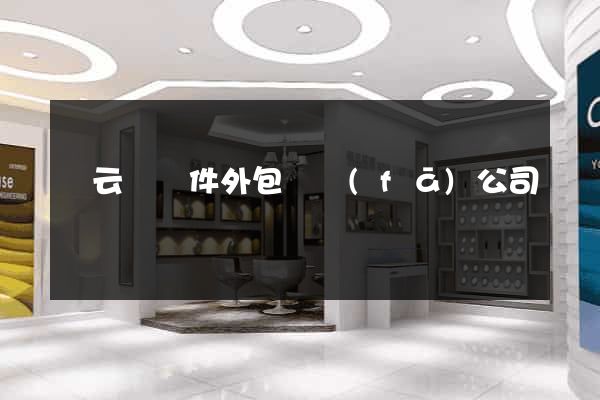 縉云縣軟件外包開發(fā)公司